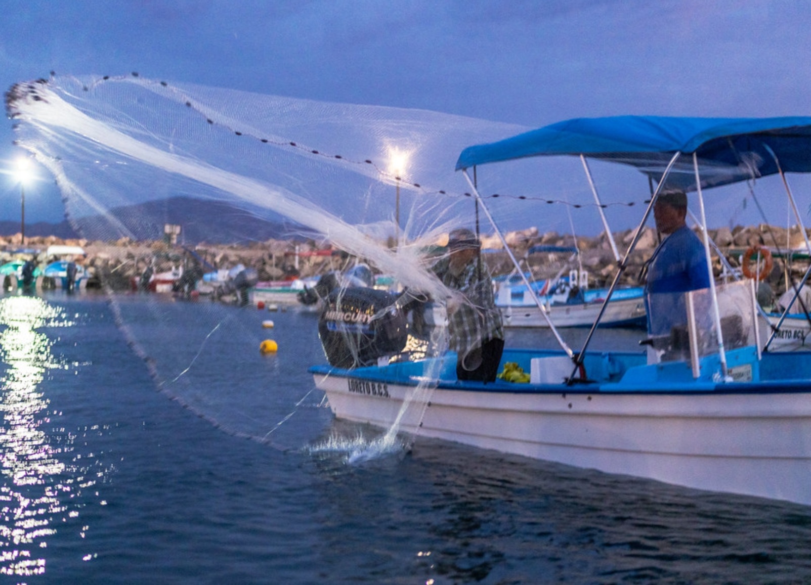 Casting Net